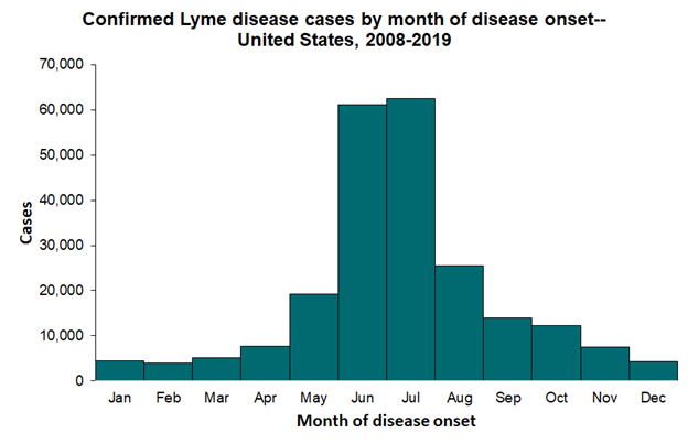 Lyme Disease Cases by Month